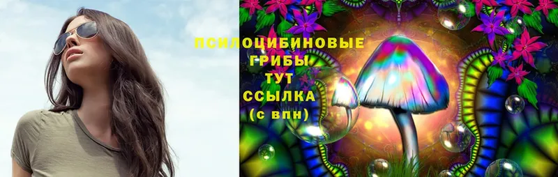 Галлюциногенные грибы MAGIC MUSHROOMS  Калтан 